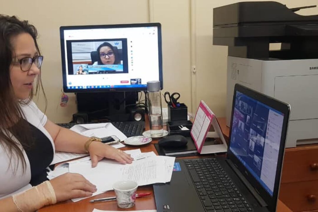 Vereadora Tanise faz uma emenda na Reforma Administrativa do Governo