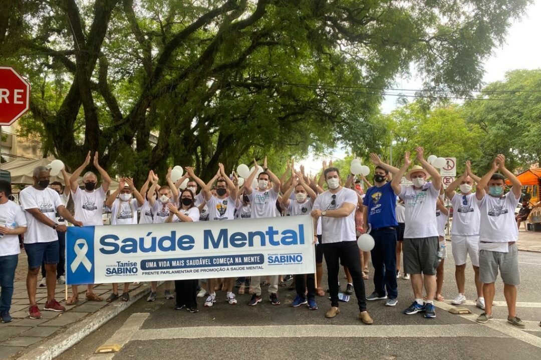 Em Porto Alegre, Brique da Redenção é palco de caminhada alusiva ao Janeiro Branco