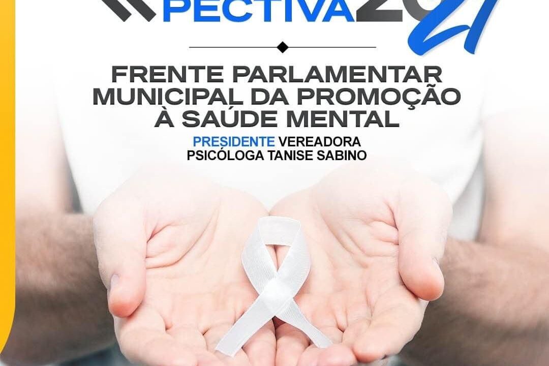 Tanise Sabino apresenta Prestação de Contas da Frente de Promoção à Saúde Mental