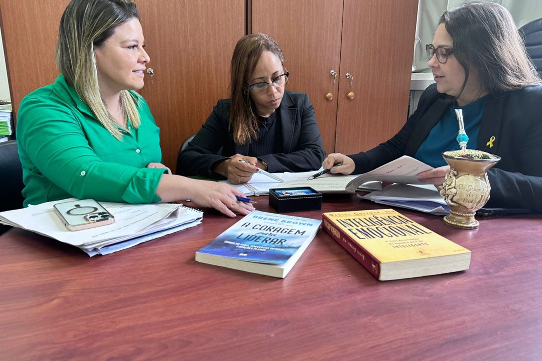 8º ciclo da gestão de desempenho com a equipe Sabino