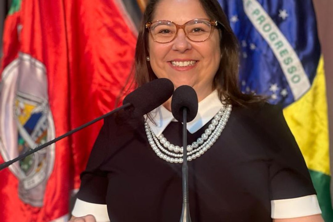 Prestação de contas de 2023 do mandato da Vereadora Tanise Sabino