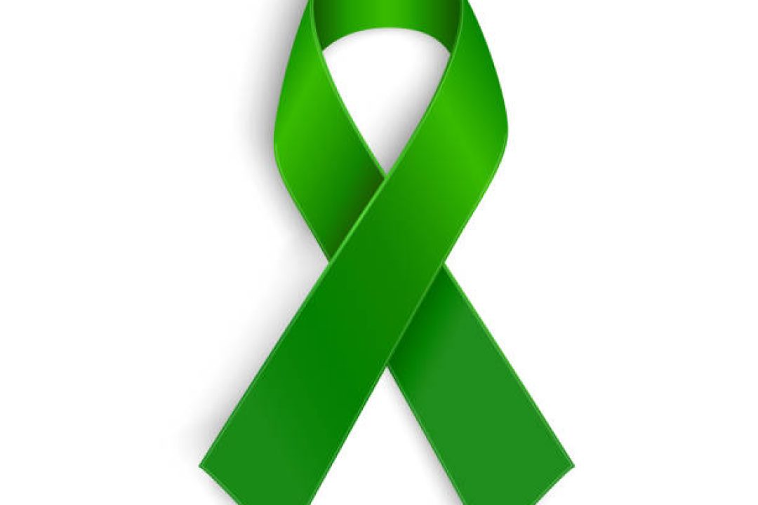 Maio Verde, mês de conscientização sobre a esquizofrenia é aprovado na Câmara de Vereadores