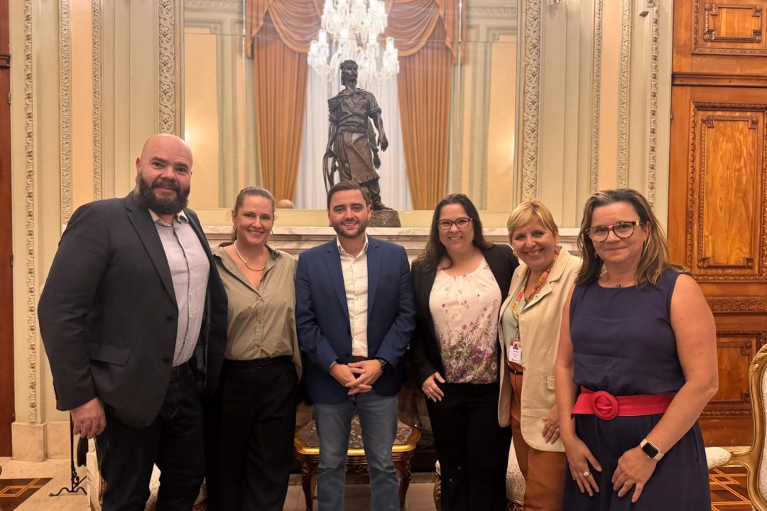 Vereadora Psicóloga Tanise Sabino é recebida pelo governador em exercício&nbsp;Gabriel Souza&nbsp;para tratar de projetos voltados à saúde mental&nbsp;