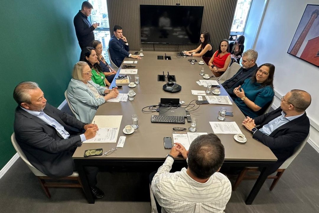 Reunião no Governo do Estado debate projeto que estabelece diretrizes para emergências psiquiátricas no RS